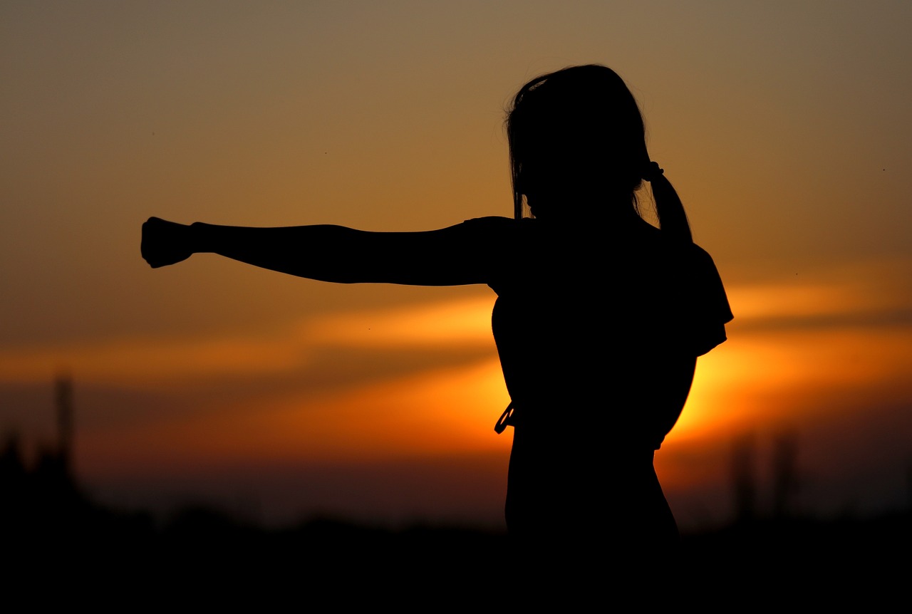 karate, sunset, fight-2578819.jpg